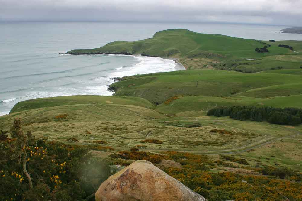 195 - Nueva Zelanda - Dunedin, peninsula de Otago, panoramica